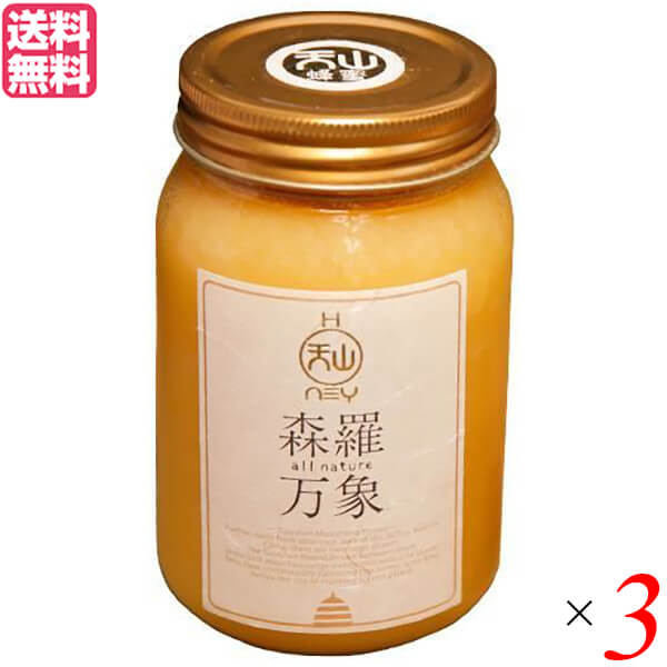 はちみつ ハチミツ ハニー 森羅万象 天山蜂蜜 600g 3個セット
