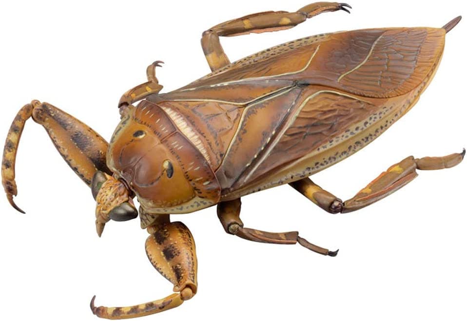 REVO GEO タガメ Kirkaldyia deyrolli 全長約155mm PVC & ABS製 塗装済み 可動フィギュア RG005 9,029円