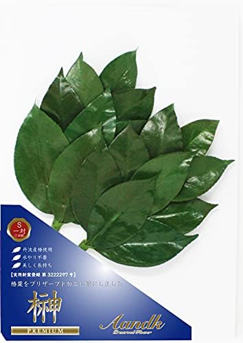 国産 枯れないプリザーブド榊 １対 4,836円