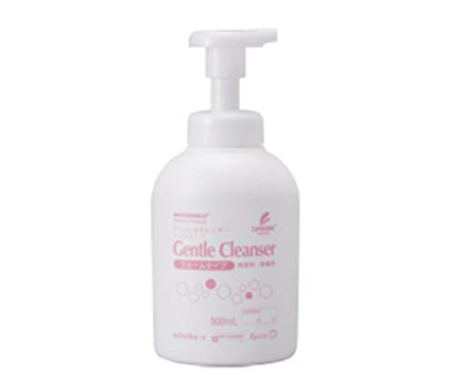 ジェントルクレンザーハンドソープ フォームタイプ 500mL 12本入り 64-6518-16