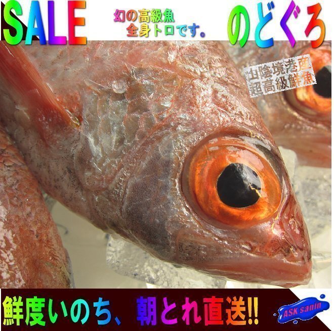 幻の超高級魚「のどぐろL-1kg」お刺身用・脂のってます！！　山陰境港産 5,220円