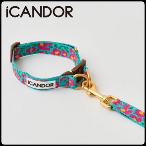 セット商品* 首輪 リード ペット 犬 GENTLE COLLAR DUAL+GENTLE LEASH_BIG FISH_MINT 7,731円