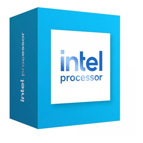 Intel Processor 300 BOX 製品画像