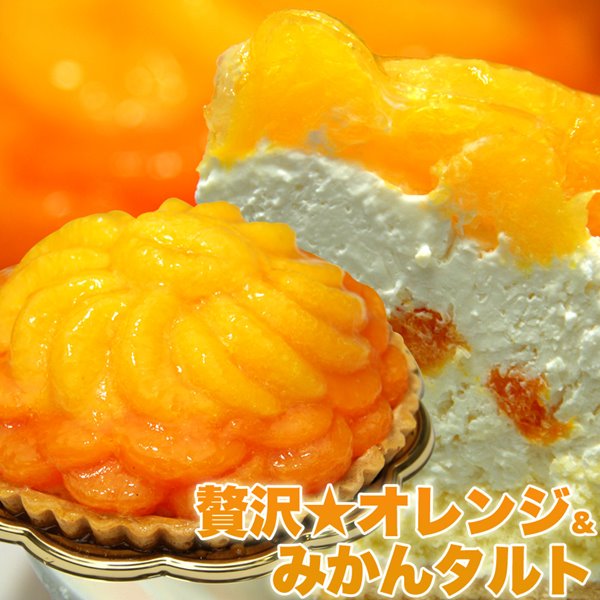 オレンジ＆みかんタルト 5号 冷凍 オレンジタルト みかん ホールケーキ フルーツケーキ ケーキ スイーツ 5,011円