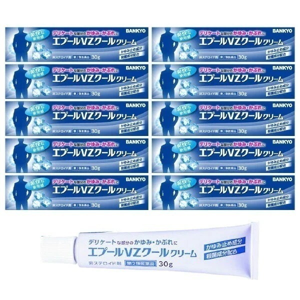 【第2類医薬品】エプールVZクールクリーム 30g 鎮痒消炎薬 10個セット 5,394円