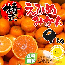 みかん 特に訳あり 愛媛みかん 箱込9.0kg（8.5kg+保証分500g） 愛媛の農家・青果市場から直送致します！