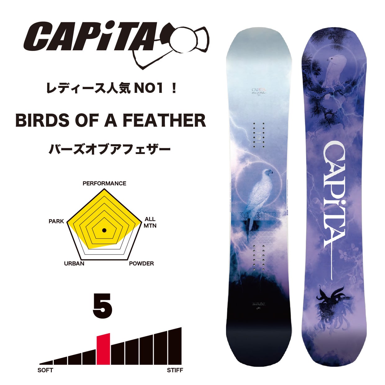 新品未使用 23-24 CAPITA BOARD BIRDS OF A FEATHER 148W 土日祝発送 即日発送 2