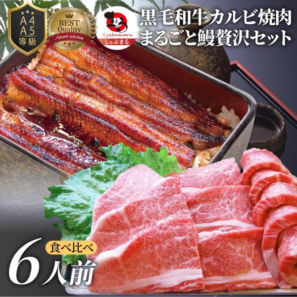 黒毛和牛 ＆ まるごと鰻 セット 6人前 焼肉のタレ 凍眠 テクニカン 肉 お中元 ギフト 食品 プレゼント うなぎ 黒毛和牛 カルビ 焼肉 A4 A5等級