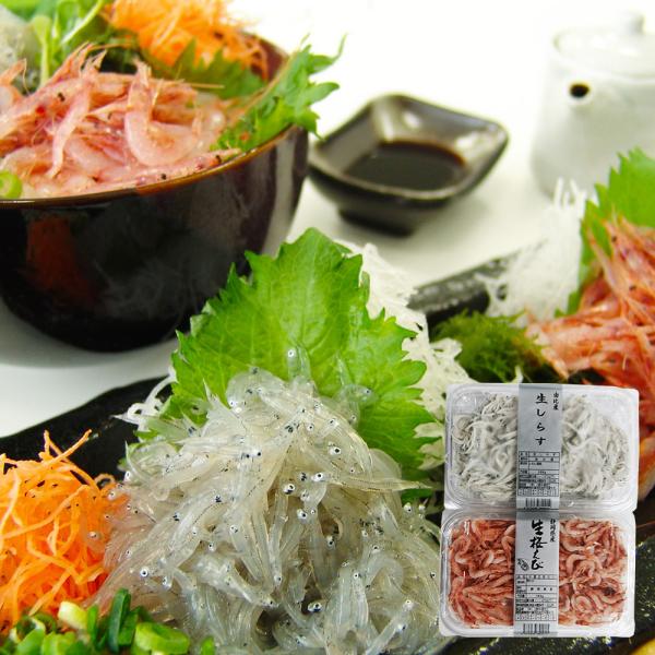 静岡 石原水産 駿河湾産 生桜えび 生しらすセット 生桜えび160g 生しらす200g SISK