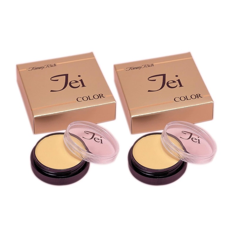 TEIカラー ナチュラルコントロール 2個セット ファンデーション コスメ 化粧品