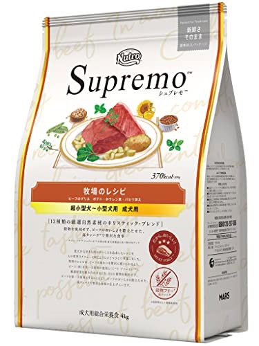 五明祐子さん愛用 ebagos 2本編みバッグ M 【公式通販】