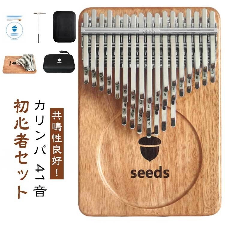 【楽天ランキング1位獲得！】【早い者勝ち先着10名：1000円Offクーポン】ケース 41音 親指ピアノ 初心者セット 楽器 教本 入門書 チューニング済み 指サック サムピアノ おしゃれ 楽譜 チ