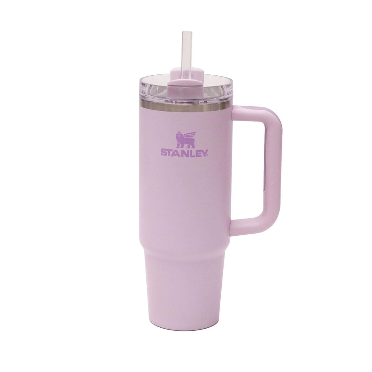 スタンレー（STANLEY） 水筒 ボトル マグ H2.0 真空スリムクエンチャー 0.88L 10-10827-459 （パープル/ＦＦ）