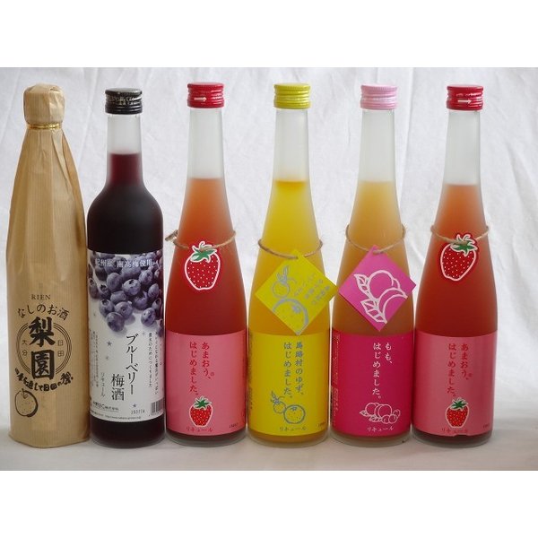 果実リキュール6本セット 紀州産 南高梅使用ブルーベリー梅酒 500ml（和歌山）なしのお酒 梨園