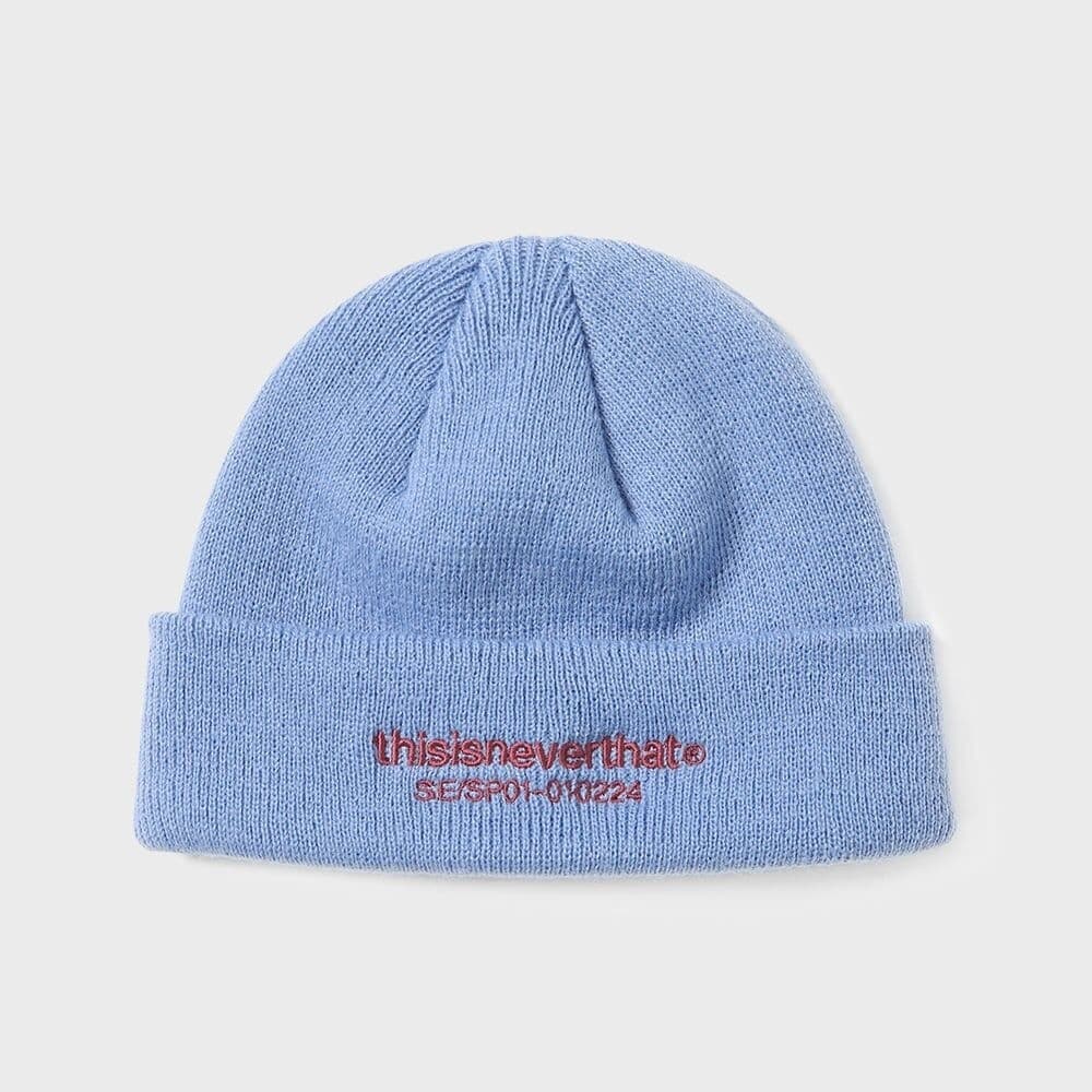 This IS Never This T-Logo ショートビーニースレート