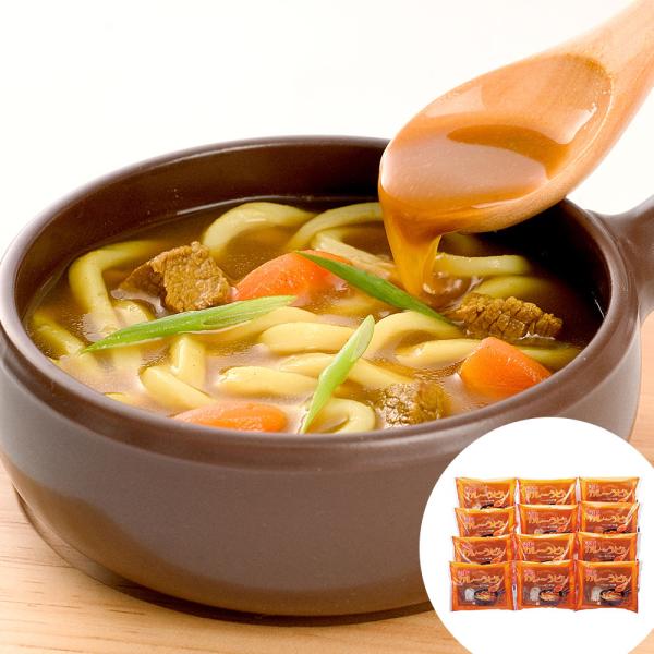 香川 お徳用 瀬戸内讃岐工房 讃岐カレーうどん 12袋 1袋2人前 SISK