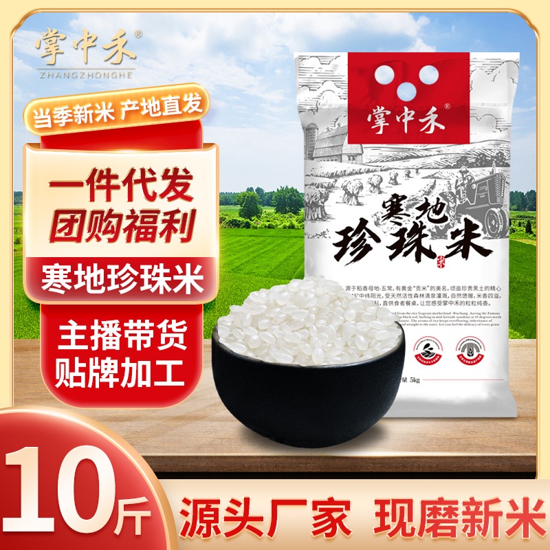 東北産米1袋 5kg 真空パック 黒竜江省名物パールライス 10kg 卸売会議ギフト食品