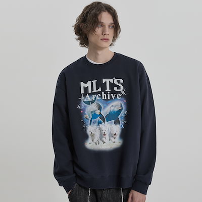 パキポディウムグラキリス 将来有望美形 二頭シンメトリー 発根済み