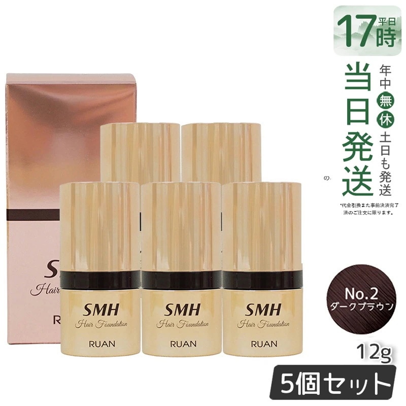 【5個セット】　ルアン SMH ヘアファンデーション 12g No.2 ダークブラウン 髪 頭 薄毛隠し薄毛 分け目 つむじ ふりかけ 白髪かくし