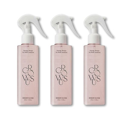 コンパニオン チェック英熟語 山口書店