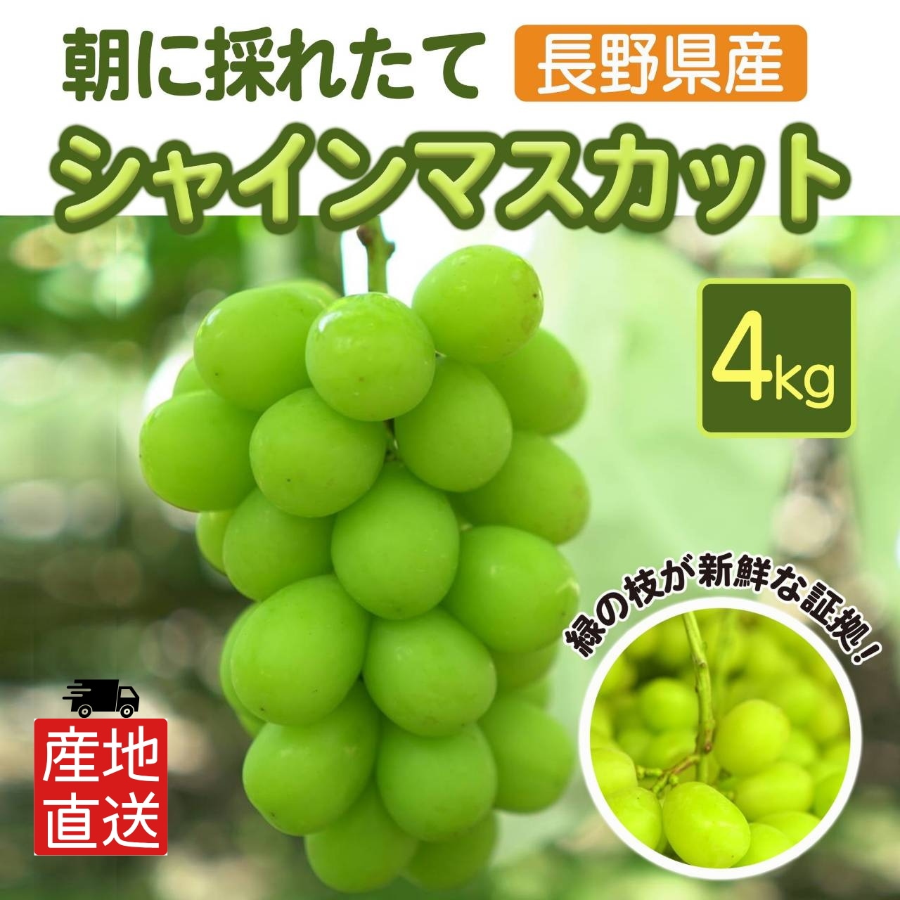 [朝採り 農家直送] 長野県産 シャインマスカット 杉崎ぶどう農園 4キロ 8房~9房 贈答用対応
