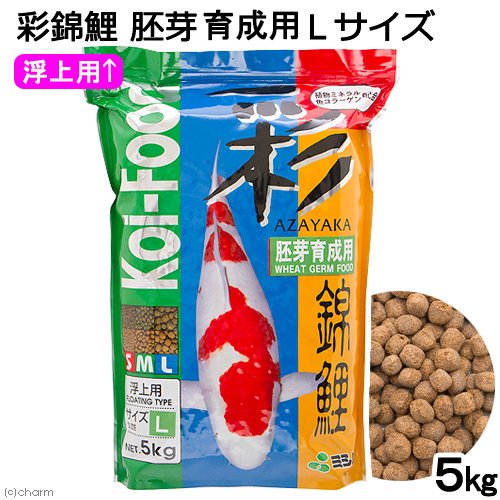 鯉の餌　彩錦鯉　胚芽育成用　Ｌサイズ　５ｋｇ　餌　飼料　ＣＲＣ10―41―70―10―00 5,264円