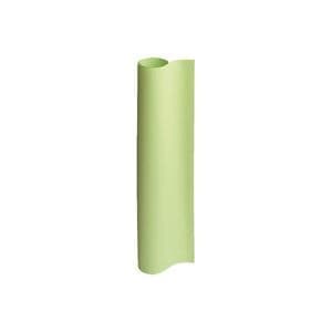 （業務用2セット）ジョインテックス 方眼模造紙50枚巻き ウグイス P150J-G