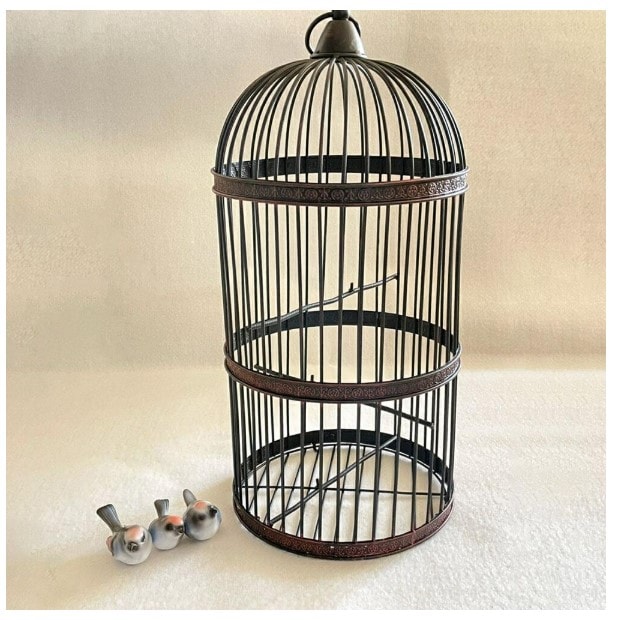 ペット用品 鳥籠 アイアン バード ケージ 53cm リング取っ手付き 鳥か