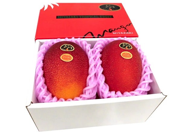 宮崎完熟マンゴー =太陽のタマゴ= JA宮崎中央 4L 2玉入 最高等級 赤秀