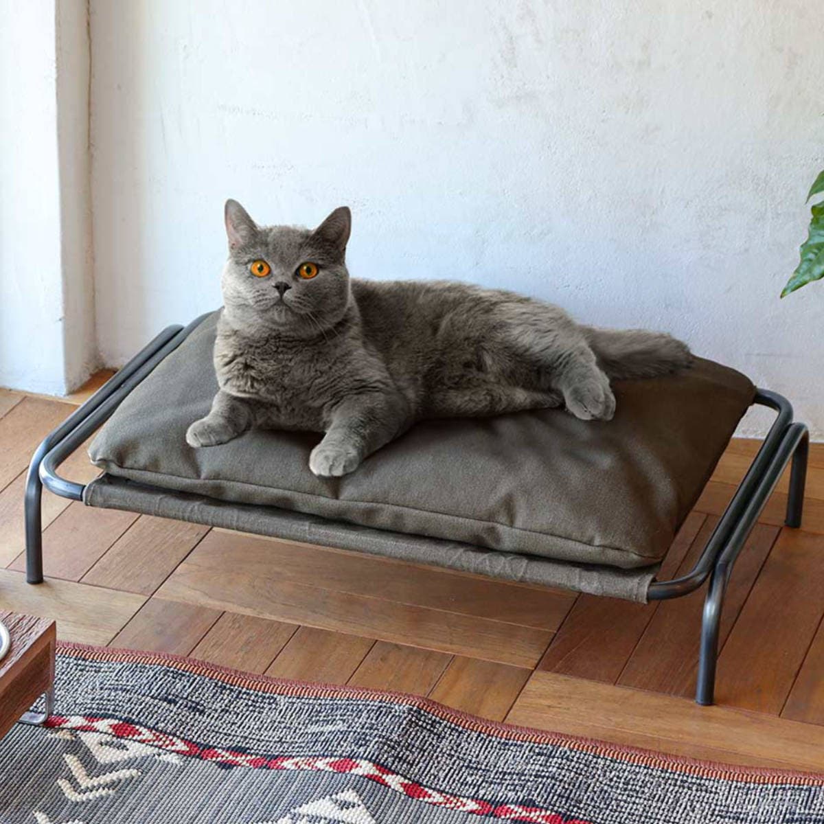 ベッド 猫 ハンモックベッド 洗える 小型犬 ペットベッド 猫用ベッド 猫用 犬用 ペット用 アイアン クッション付 おしゃれ ペットハウス ハウス 猫ベッド ソファ シンプル スタイリッシュ