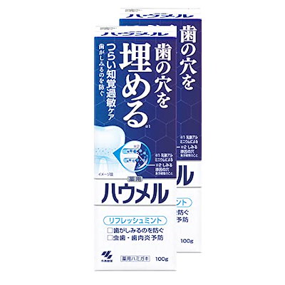 他サイト： 【まとめ買い】ハウメル 知覚過敏ケア 薬用ハミガキ 100g×2個 歯の穴を埋める 小林製薬 【医薬部外品】の商品画像