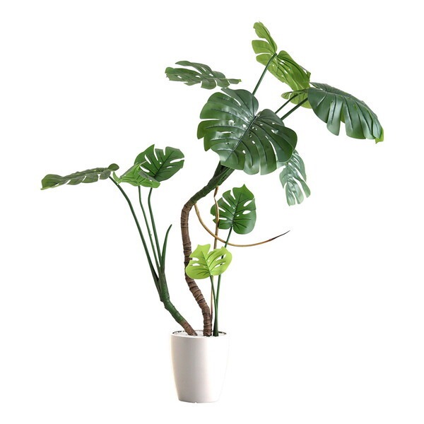 ホームテイスト SH-06-MON-L お手入れ簡単フェイクグリーン モンステラ Lサイズ(180cm) アイボリー メーカー直送