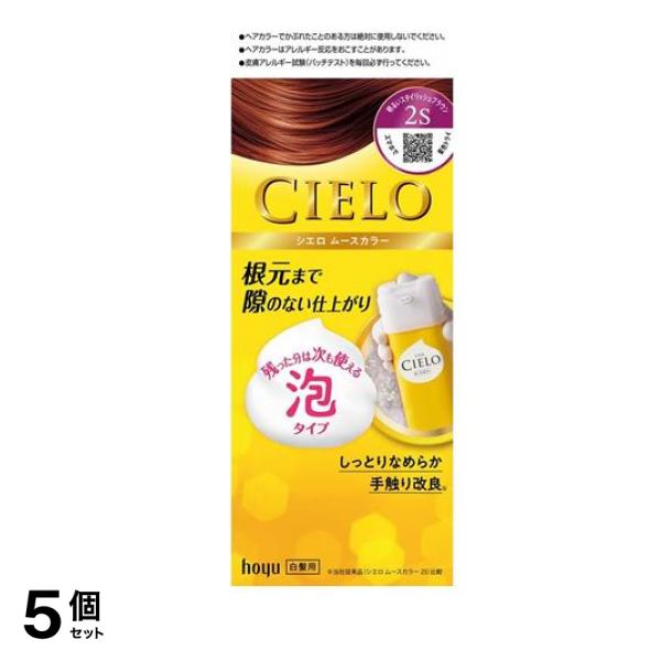 ムースカラー 2S 明るいスタイリッシュブラウン 1個 5個セット