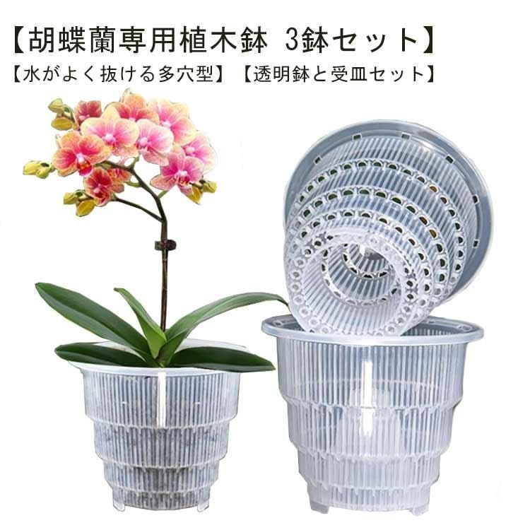 多穴型 3鉢セット 植木鉢 通気性 直径12cm 胡蝶蘭専用 排水穴付き 胡蝶蘭の植え替え プラスチック 受皿付き 鉢 根腐れ防止 直径15cm