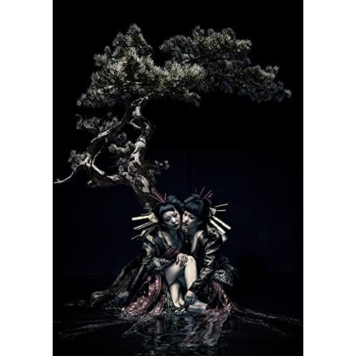 GazettE ／ the GazettE LIVE TOUR12-13【DIVISION】FINA.. (Blu-ray) SRXL-326