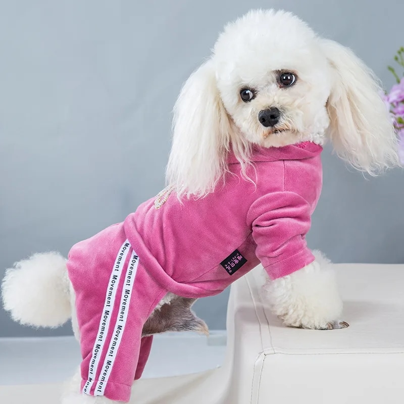 犬用フード付きスウェットシャツ,4シーズン,伸縮性のある犬の服,レタープリント,ペット服,ファッションコート,1個