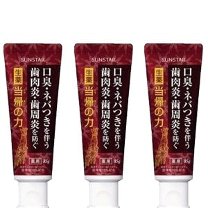 サンスター 薬用塩ハミガキ 生薬当帰の力 85g 3個セット 歯磨き粉