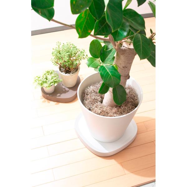 Plantable L プランタブルラージ プランタースタンド キャスター付き キャスター式 フラワースタンド 鉢皿 鉢台 花台 植木鉢台 おしゃれ 屋内