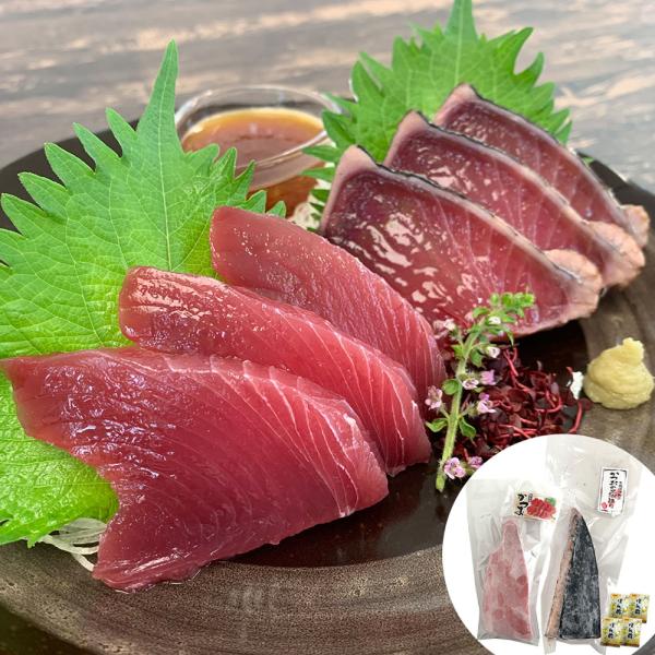 静岡 一本釣り鰹尽くし SISK