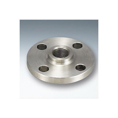 作者不明、野晒し図　掛軸 作者不明、野晒し図 掛軸 【公式通販】