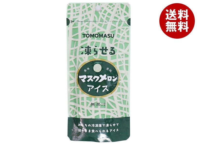 友桝飲料 マスクメロンアイス 80gパウチ×36(12×3)本入×(2ケース)