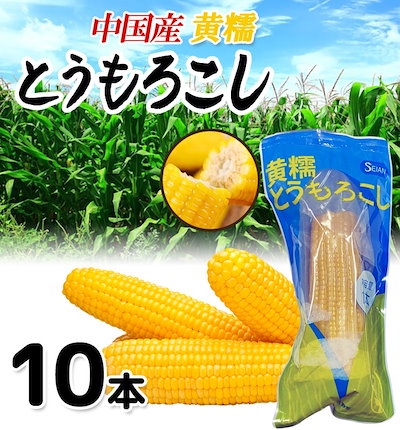 中華風糯とうもろこし 黃3ケース　120本入り 中華風糯とうもろこし 黃3ケース 120本入り 野菜