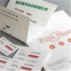 （業務用5セット）Nagatoya ホワイトペーパー ナ-013 厚口 B4 100枚