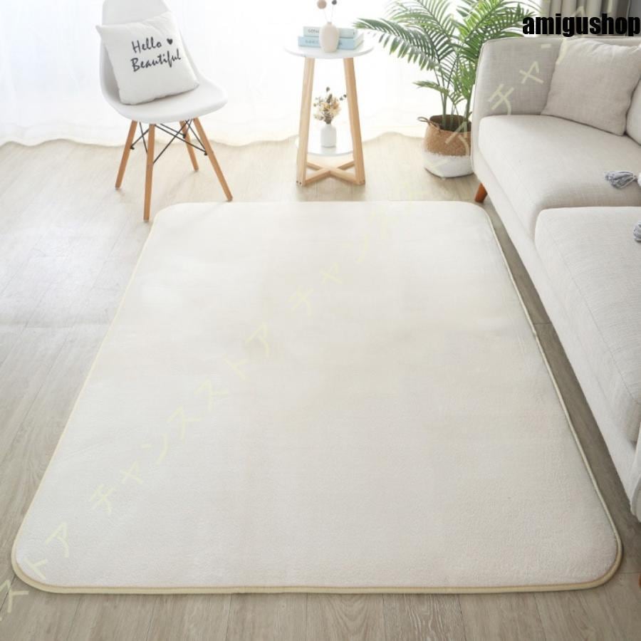 抗菌 低反発 滑り止め付 防臭 【限定SALE!!】アクティブ中ラグ 防ダニ ラグマット フランネル 防音 カーペット 厚手 厚25mm 絨毯sopep店 じゅうたん オールシーズン