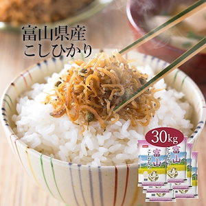 米 富山県産 こしひかり 30kg 5kg 6セット 令和6年産 お米 こめ 30キロ 安い おこめ 白米 国産 食品 ギフト 引っ越し 挨拶 内祝い お歳暮 送料無料 おくさま印 新米