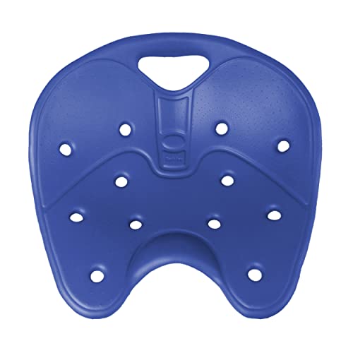 BackJoy(バックジョイ) メディコアポスチャー レギュラーサイズ エーゲアンブルー