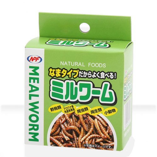 NPF ミルワーム35g（生タイプミルワーム缶）×24個セット（1ケース）