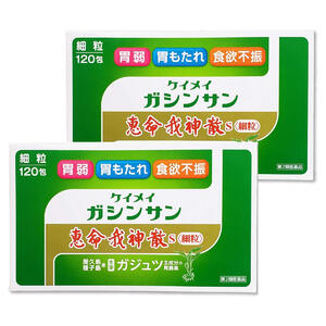 【第2類医薬品】 恵命我神散S 細粒 120包2個セット