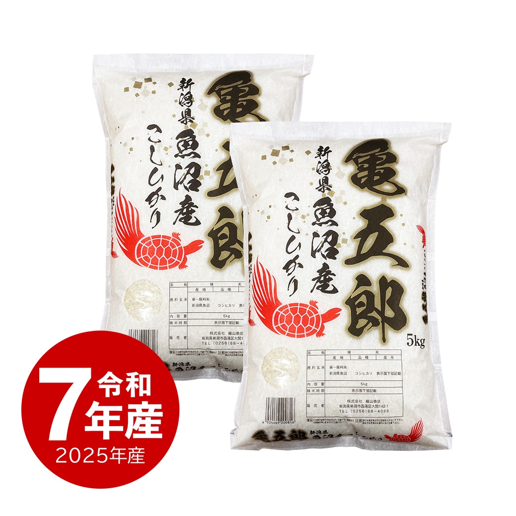 米 10kg 亀五郎さんのコシヒカリ 令和7年産 お米 白米 10キロ こしひかり
