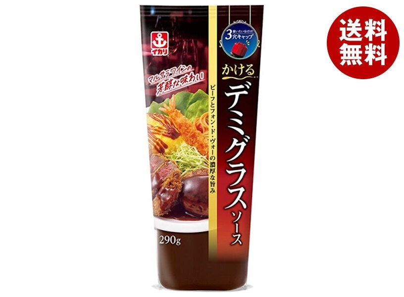 イカリソース かけるデミグラスソース 290g×10本入×(2ケース)